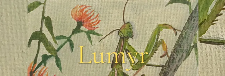 Lumyr press photo